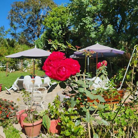 Kitnet no Sul de Minas Villa Soledade de Minas Eksteriør bilde
